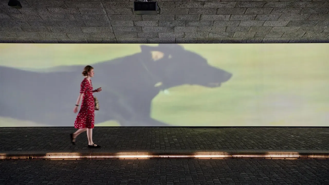 Finite Infinite, Sturtevant