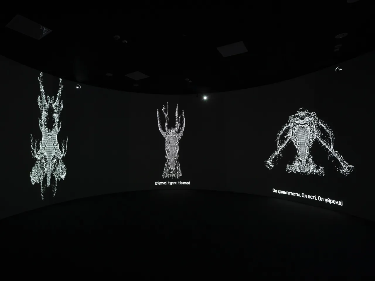 Выставка по мотивам 60-й Венецианской биеннале