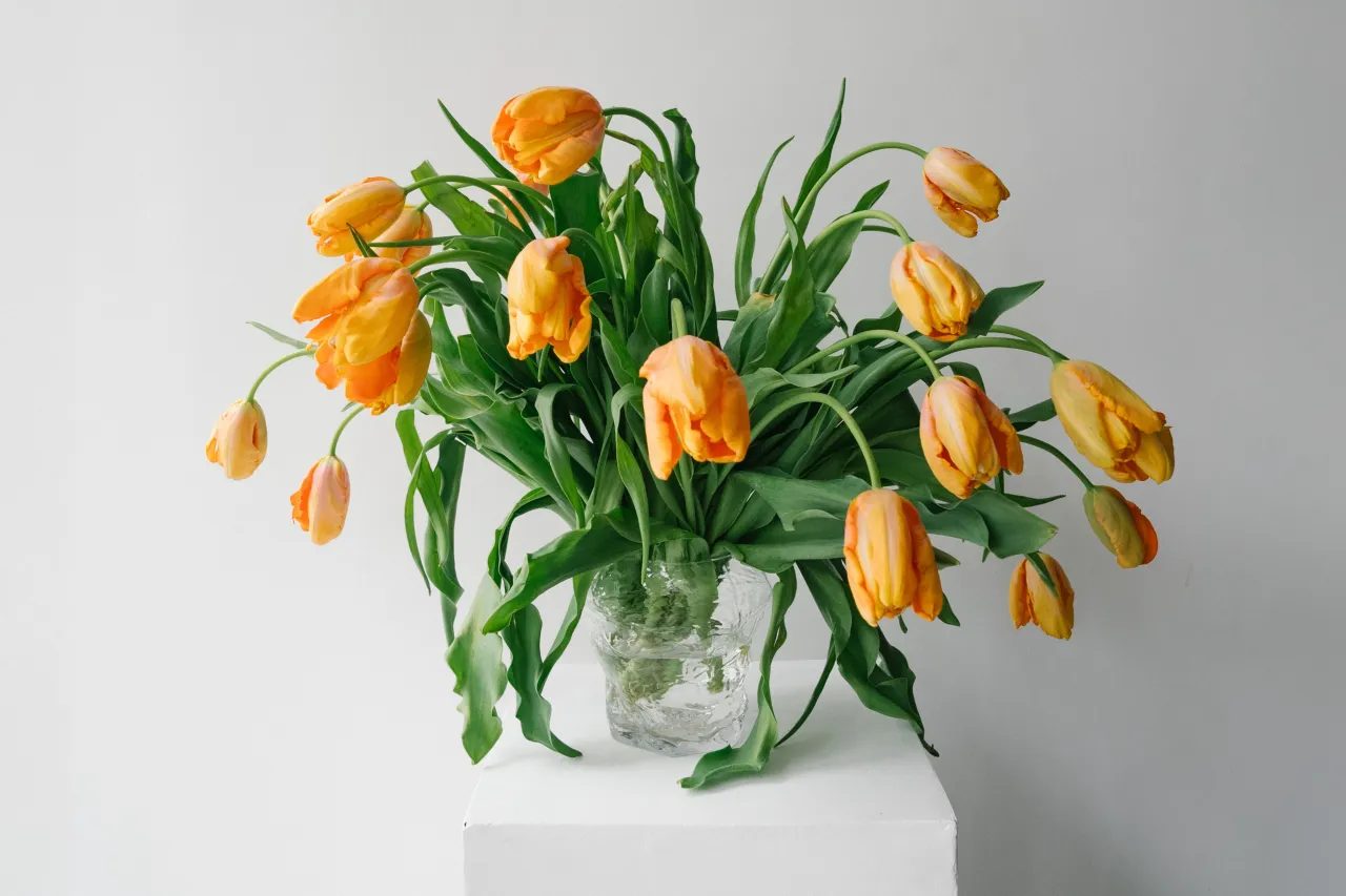 Где в Алматы найти самые стильные букеты?