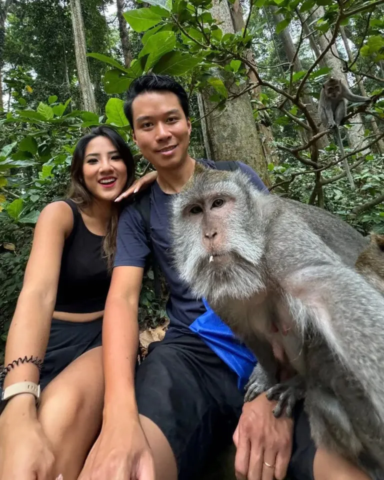 Instagram @sangehmonkeyforest