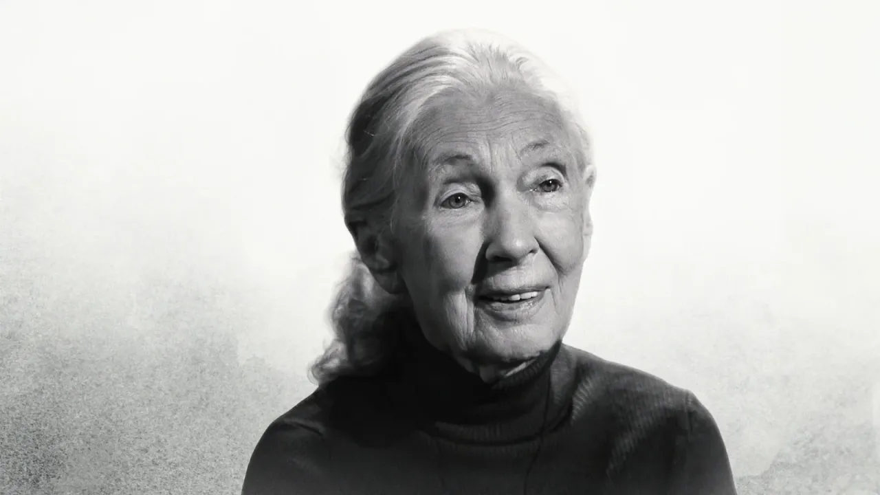 Джейн Гудолл | Netflix