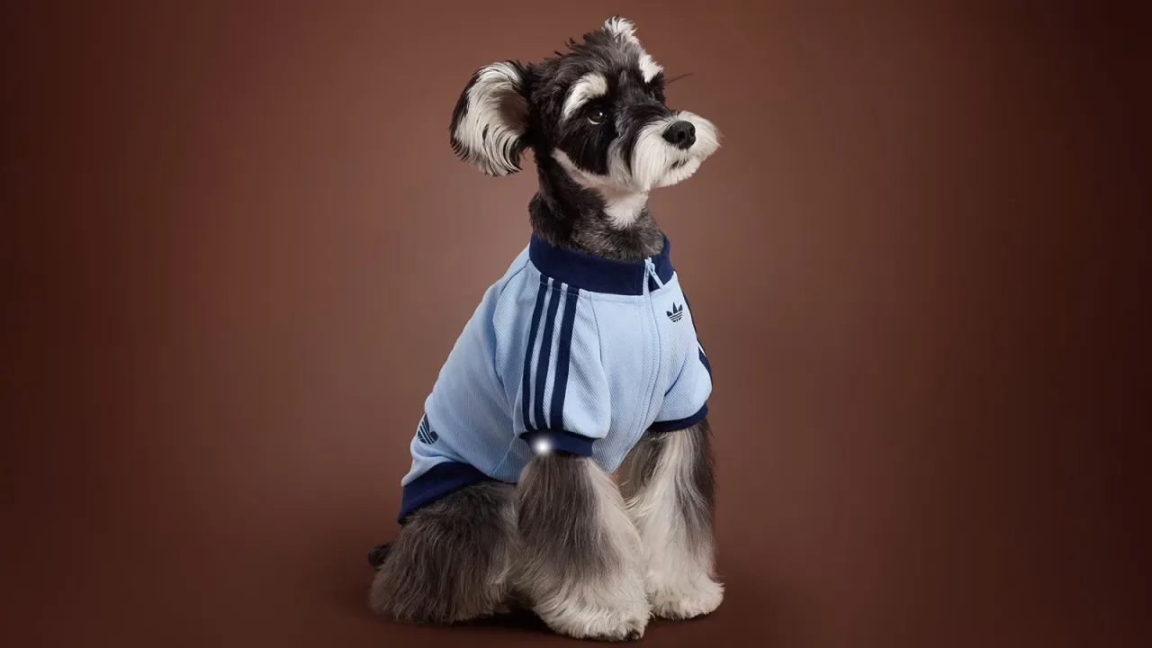 аdidas Originals Pet Collection | аdidas