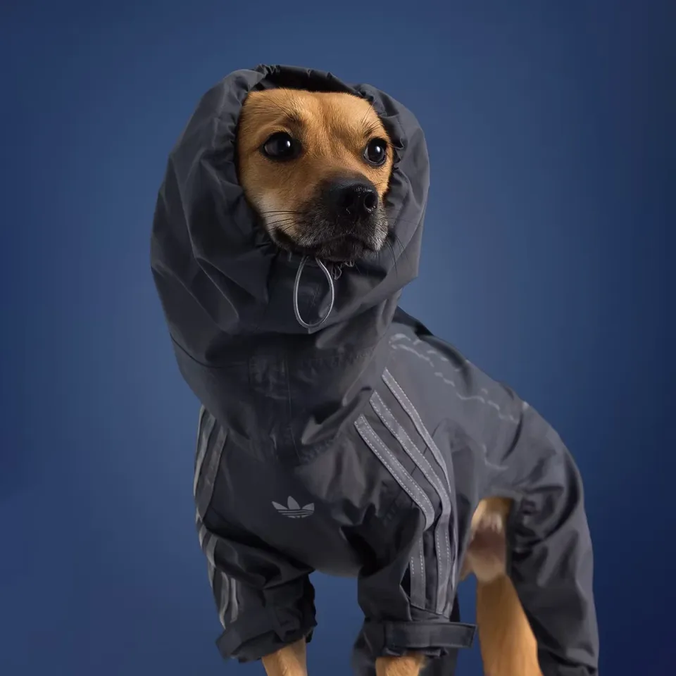В adidas представили новую коллекцию для домашних животных