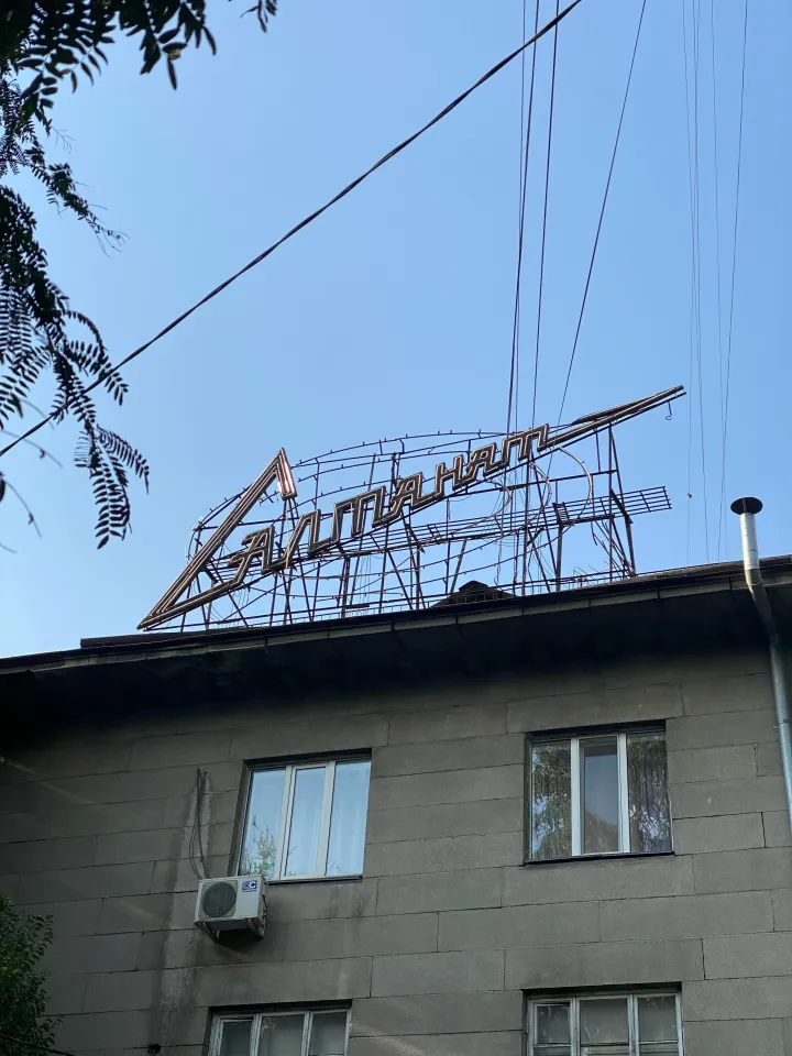 «Свет Салтанат»: проект Citix против бытового насилия