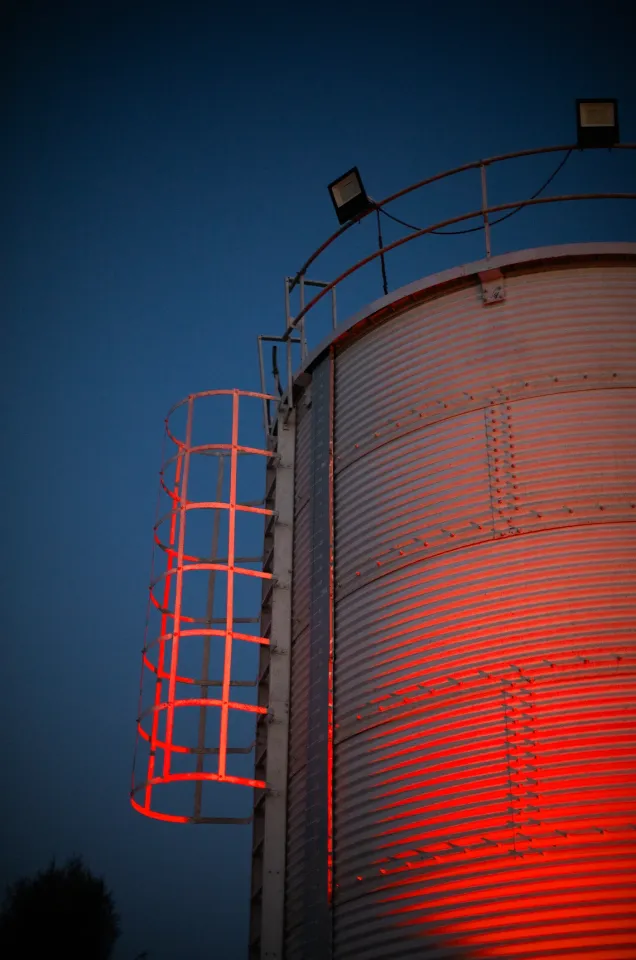 Ночная жизнь Дубая: техно, штрафы и культура