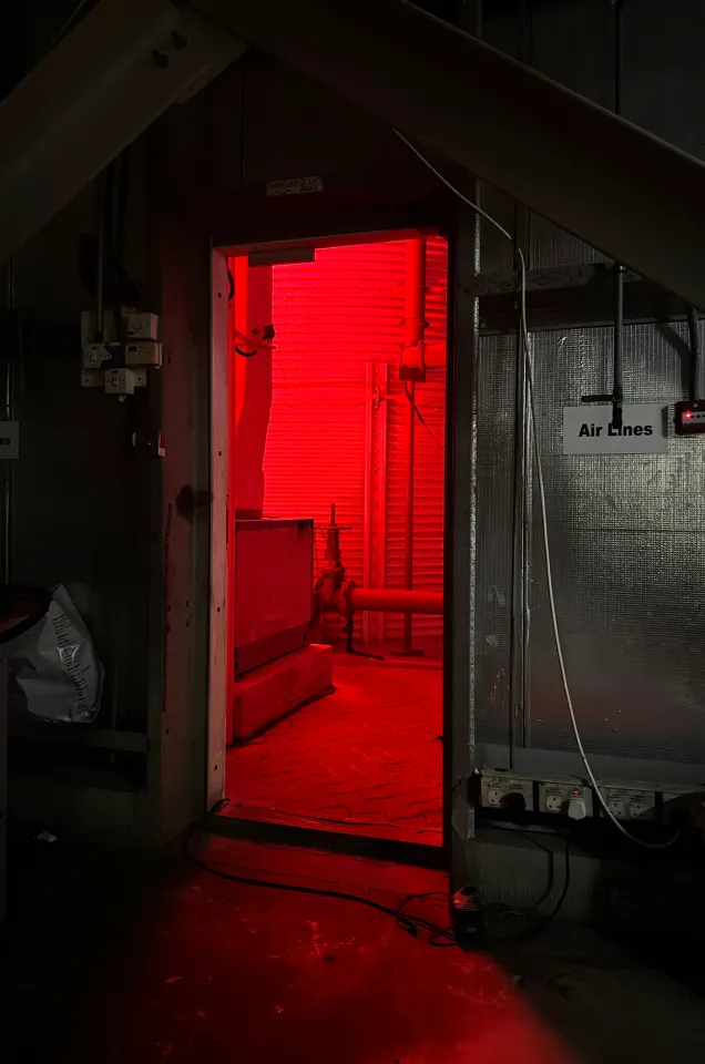 Ночная жизнь Дубая: техно, штрафы и культура