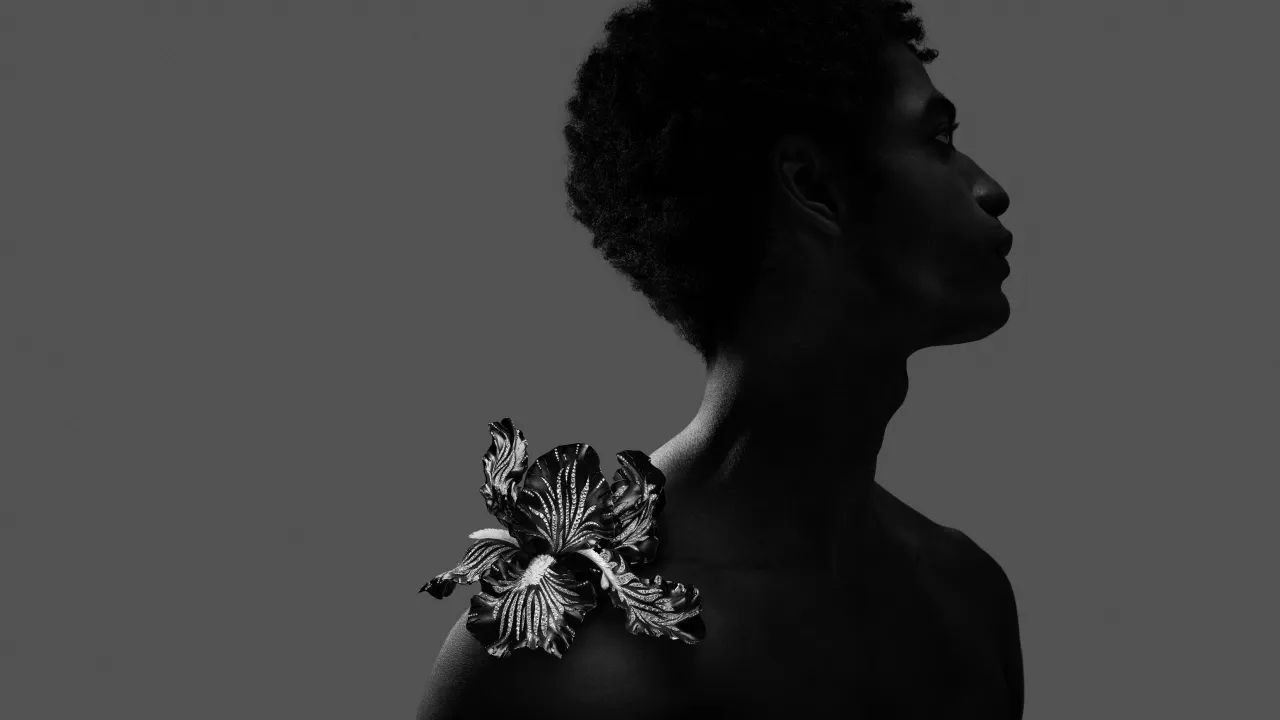 От шести до одного: новая коллекция Impermanence от Boucheron