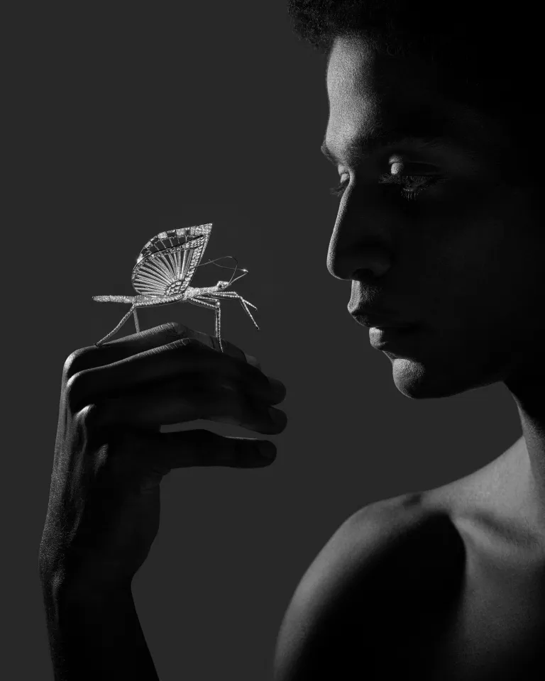 От шести до одного: новая коллекция Impermanence от Boucheron