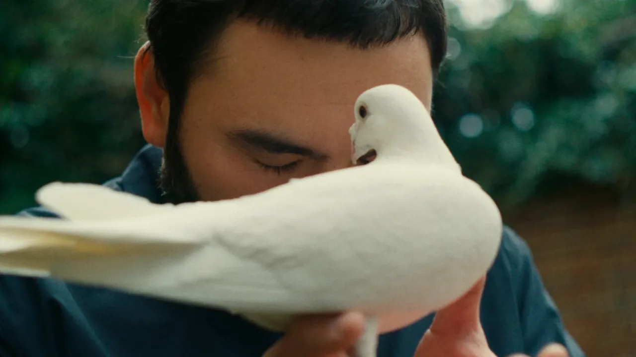 Moldanazar Music Label