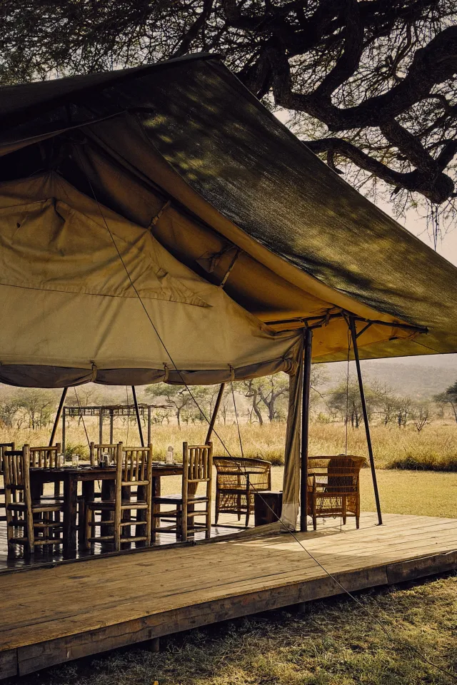 География чувств