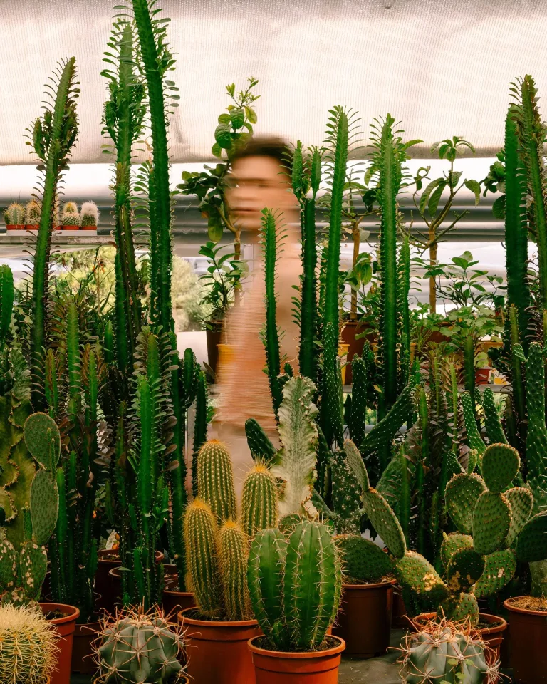 Михаил Шайдоров – Лисан аль-Гаиб казахстанского фигурного катания