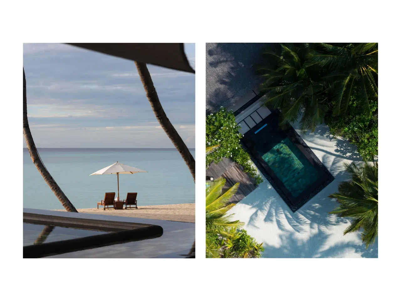 Instagram @louiscannell, @ooreethirah