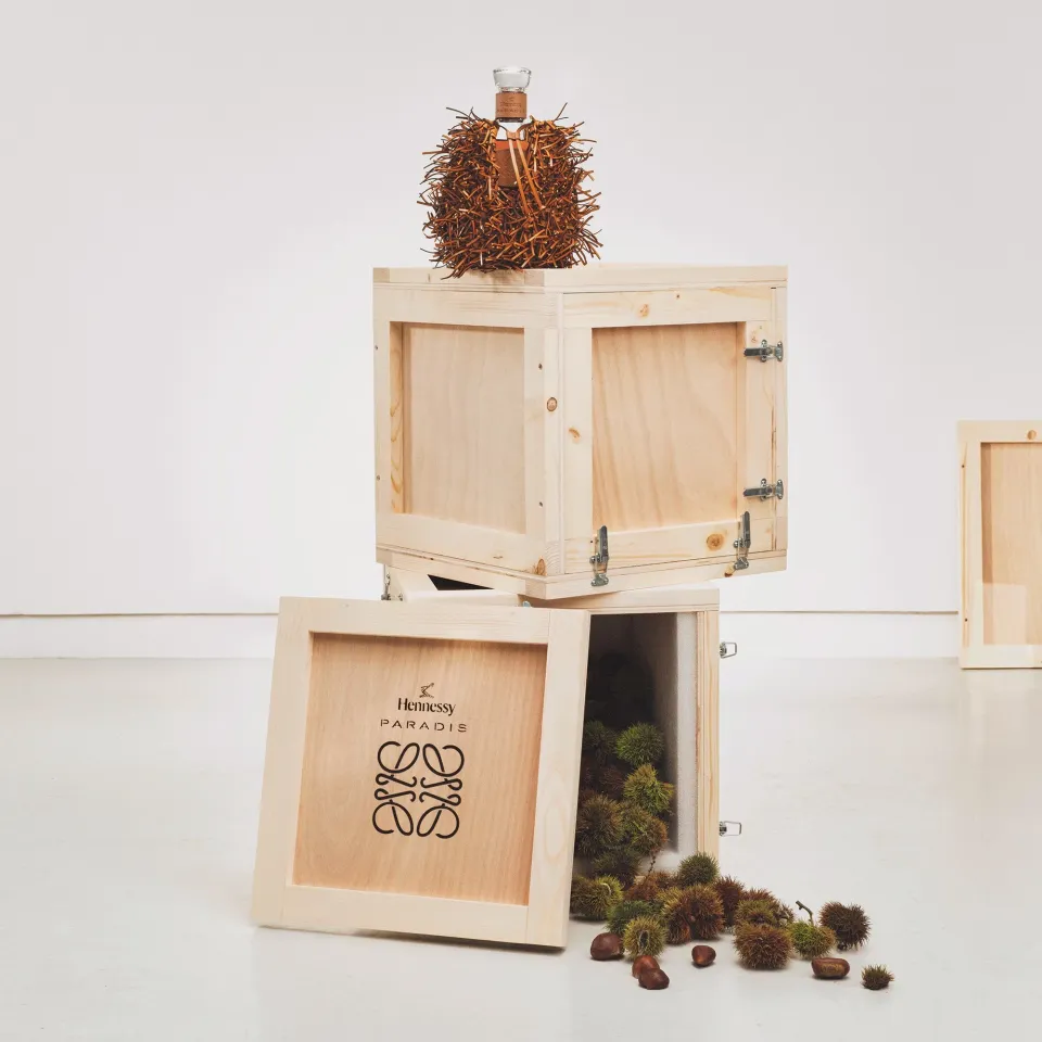 HENNESSY PARADIS x LOEWE | HENNESSY