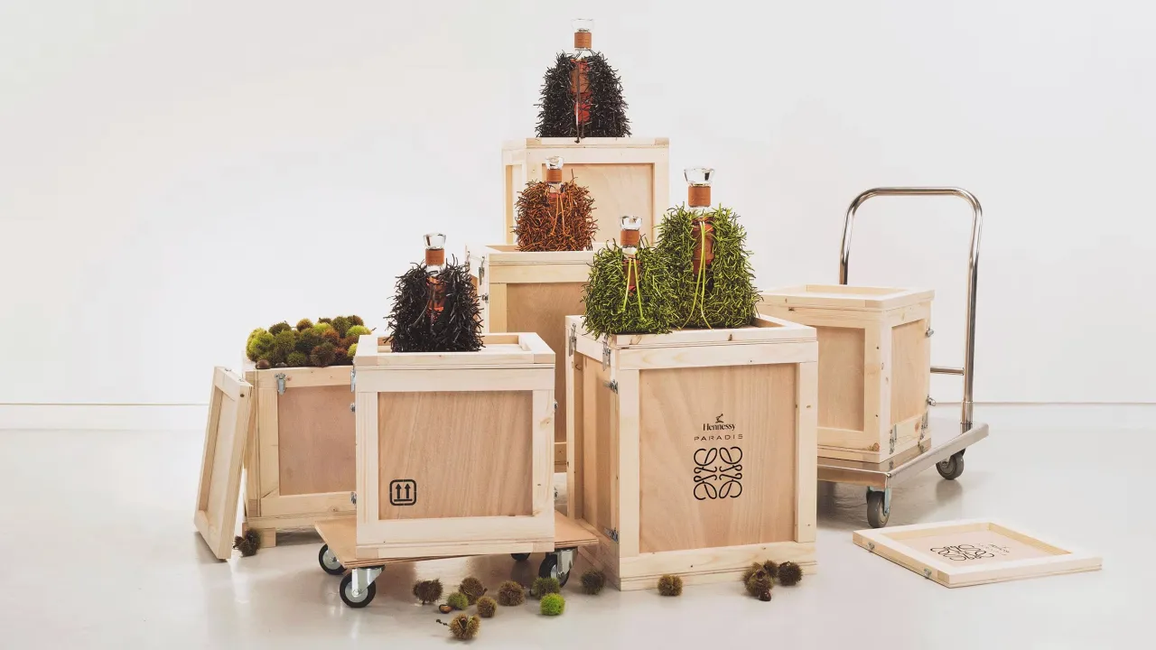 HENNESSY PARADIS x LOEWE | HENNESSY