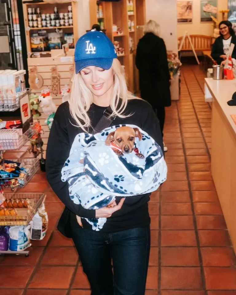 Жұлдыздардың үй жануарлары: сән-салтанат пен сүйіспеншіліктің символы