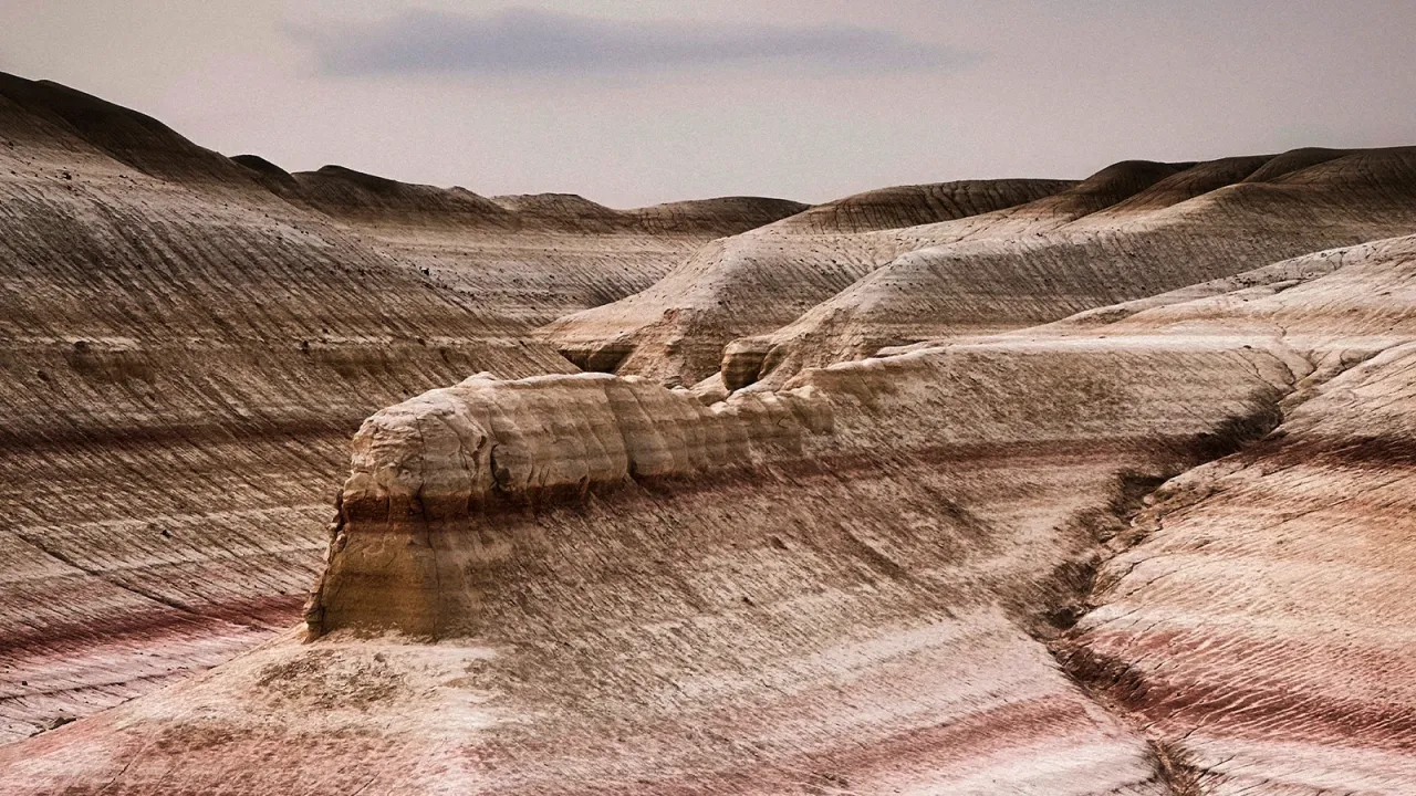 Фотограф: Диана Башаева