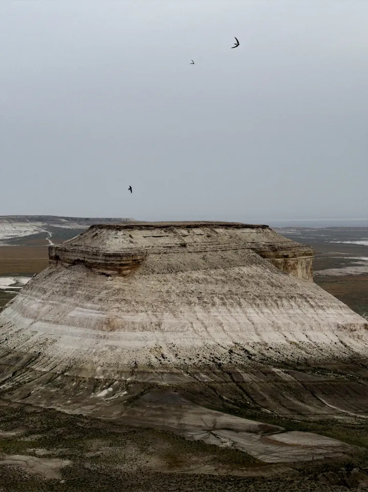 Фотограф: Диана Башаева