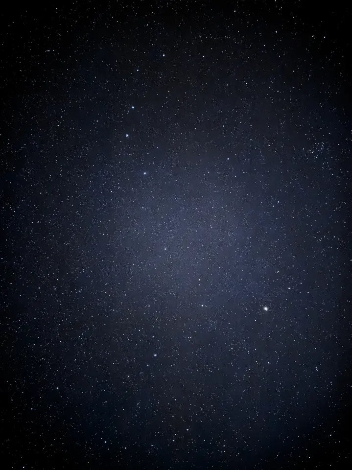 Фотограф: Диана Башаева