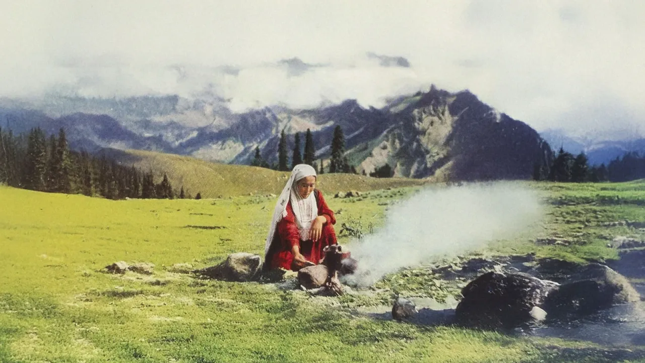 Дәстүр мен талғамның тоғысуы: қыс мезгіліне арналған шайлар