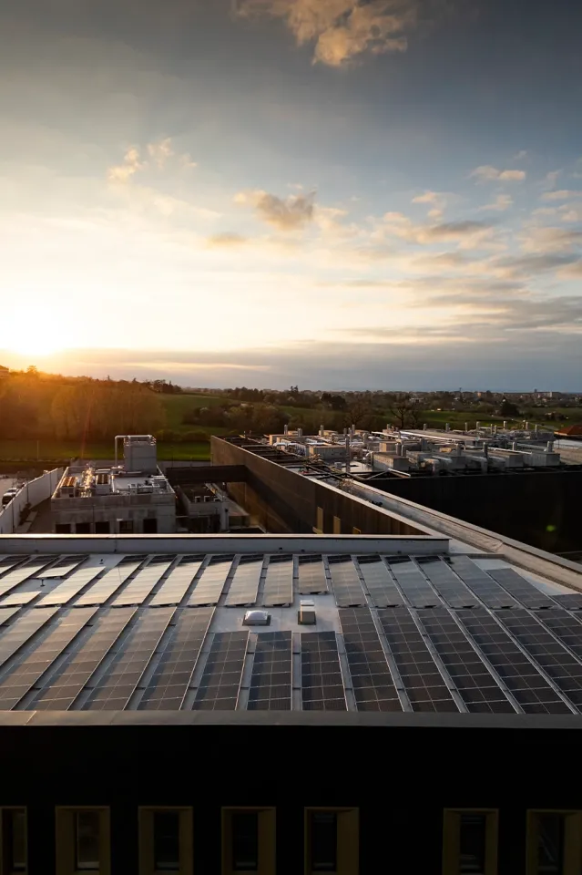 Bvlgari на страже экологии