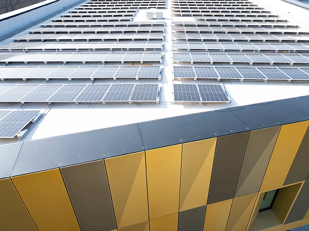 Bvlgari на страже экологии