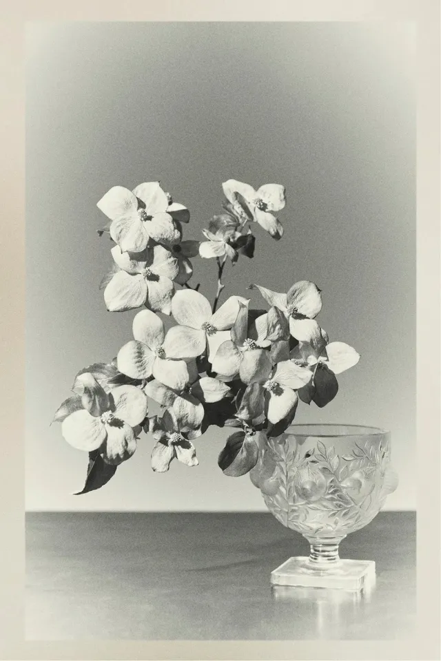 Красота момента в весеннем кампейне The Row