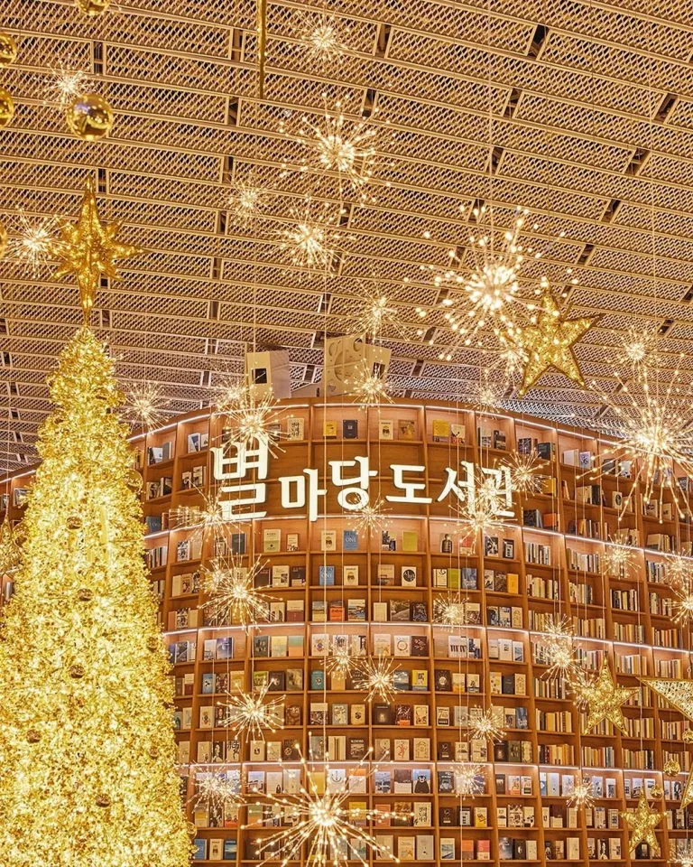 Библиотека Starfield | Instagram @starfield.library