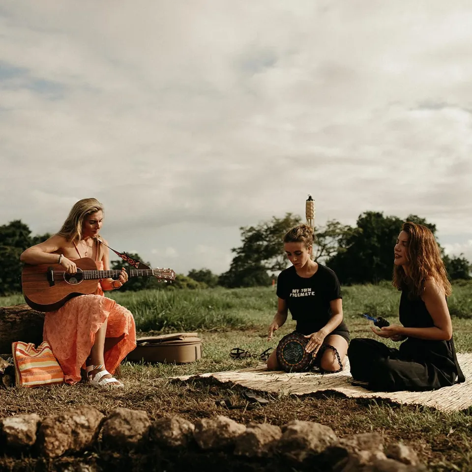 Фото: theark.world