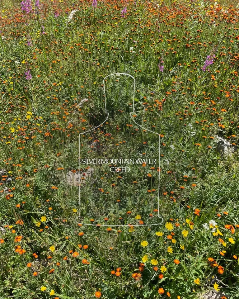 Как пахнет Алматы: восемь ароматов с ностальгией о городе