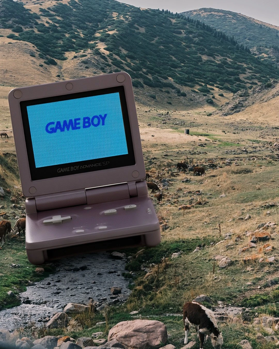 Editors’ Pick: Тамыз айының сағынышқа толы сәттері