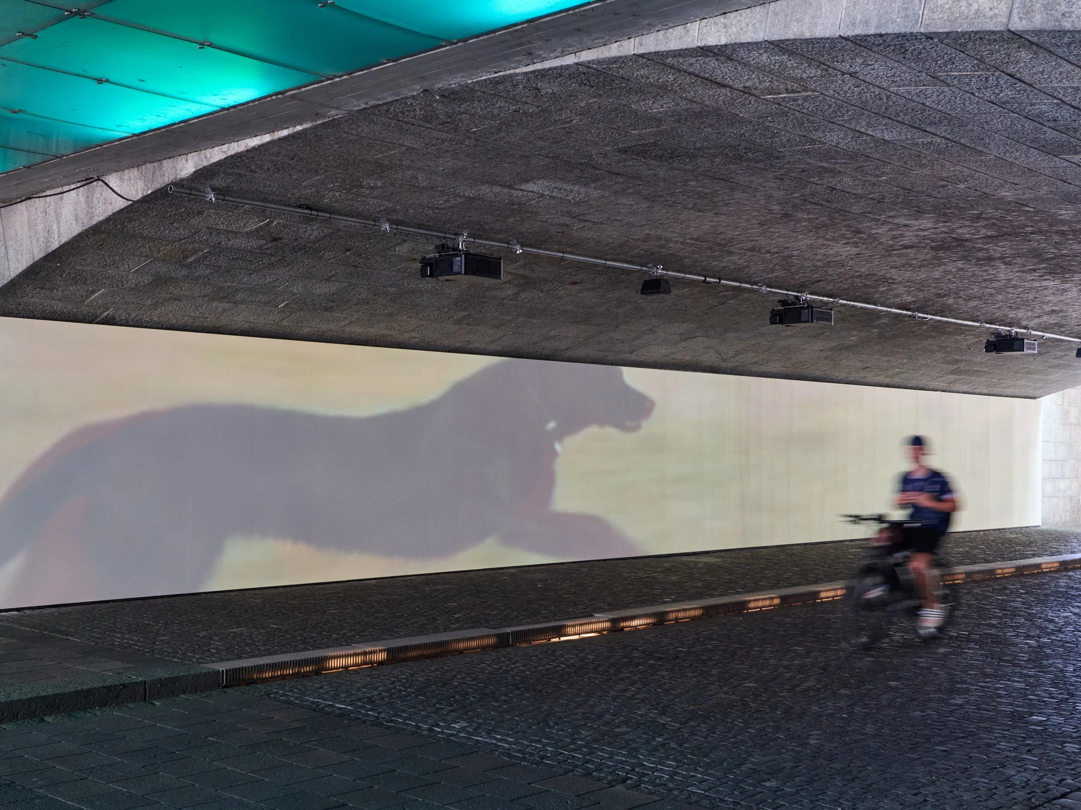 Finite Infinite, Sturtevant