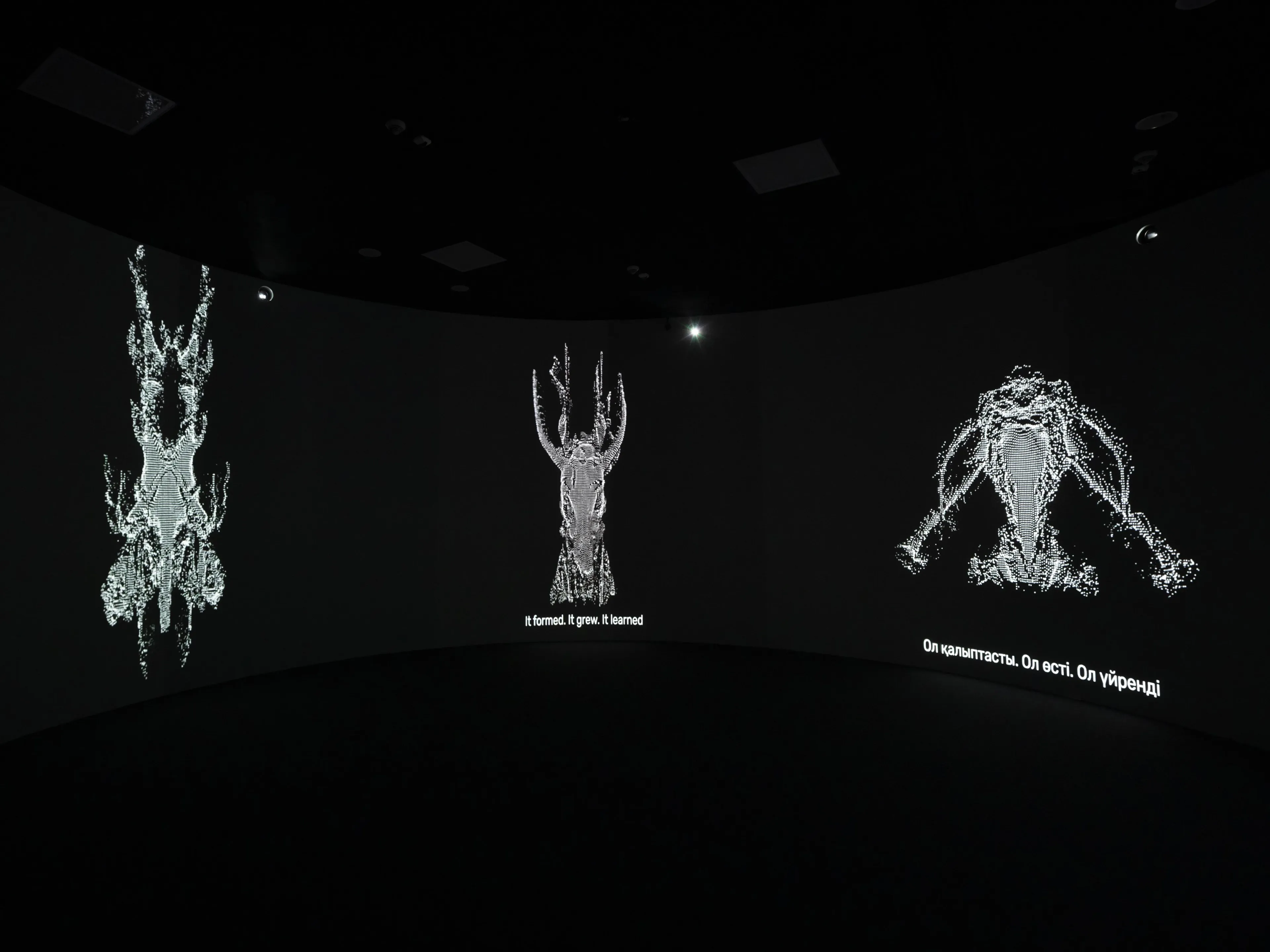 60-шы Венециялық биеннале тақырыбындағы көрме