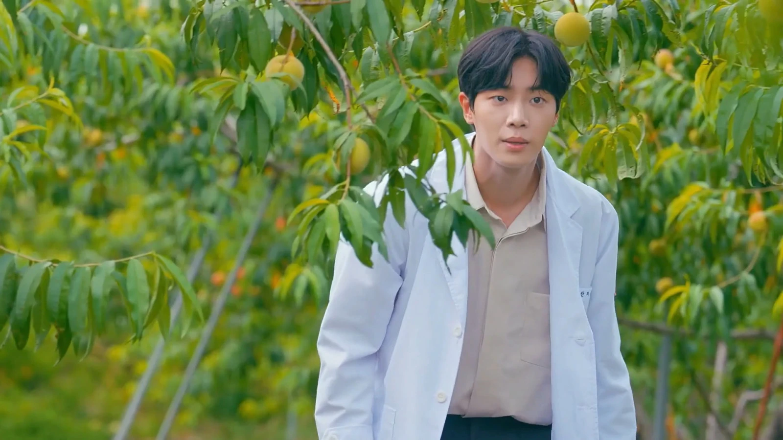 Чху Ён У — актер, который не просто стал заметным; он прорвался сквозь все жанровые барьеры | IMDb