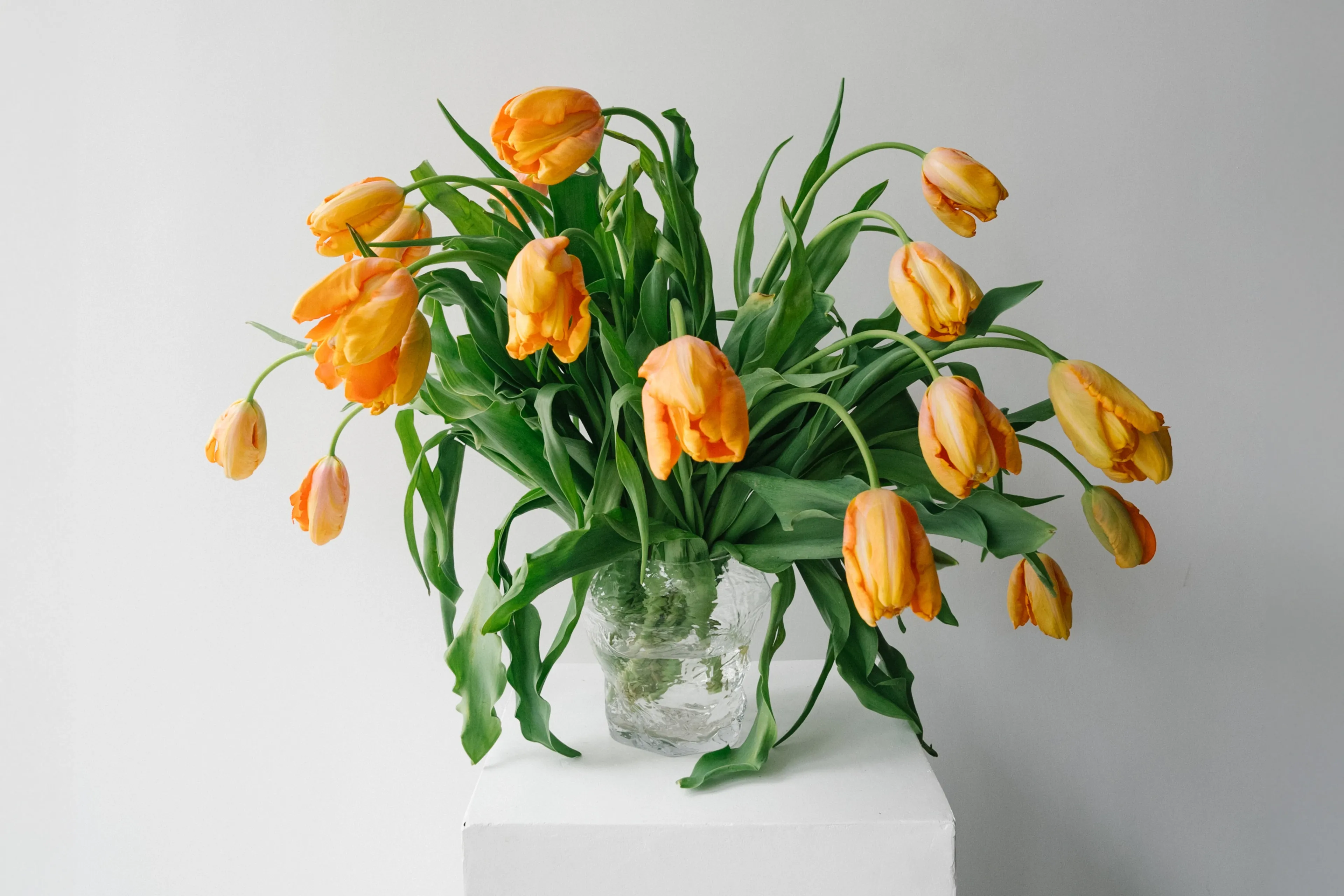 Где в Алматы найти самые стильные букеты?