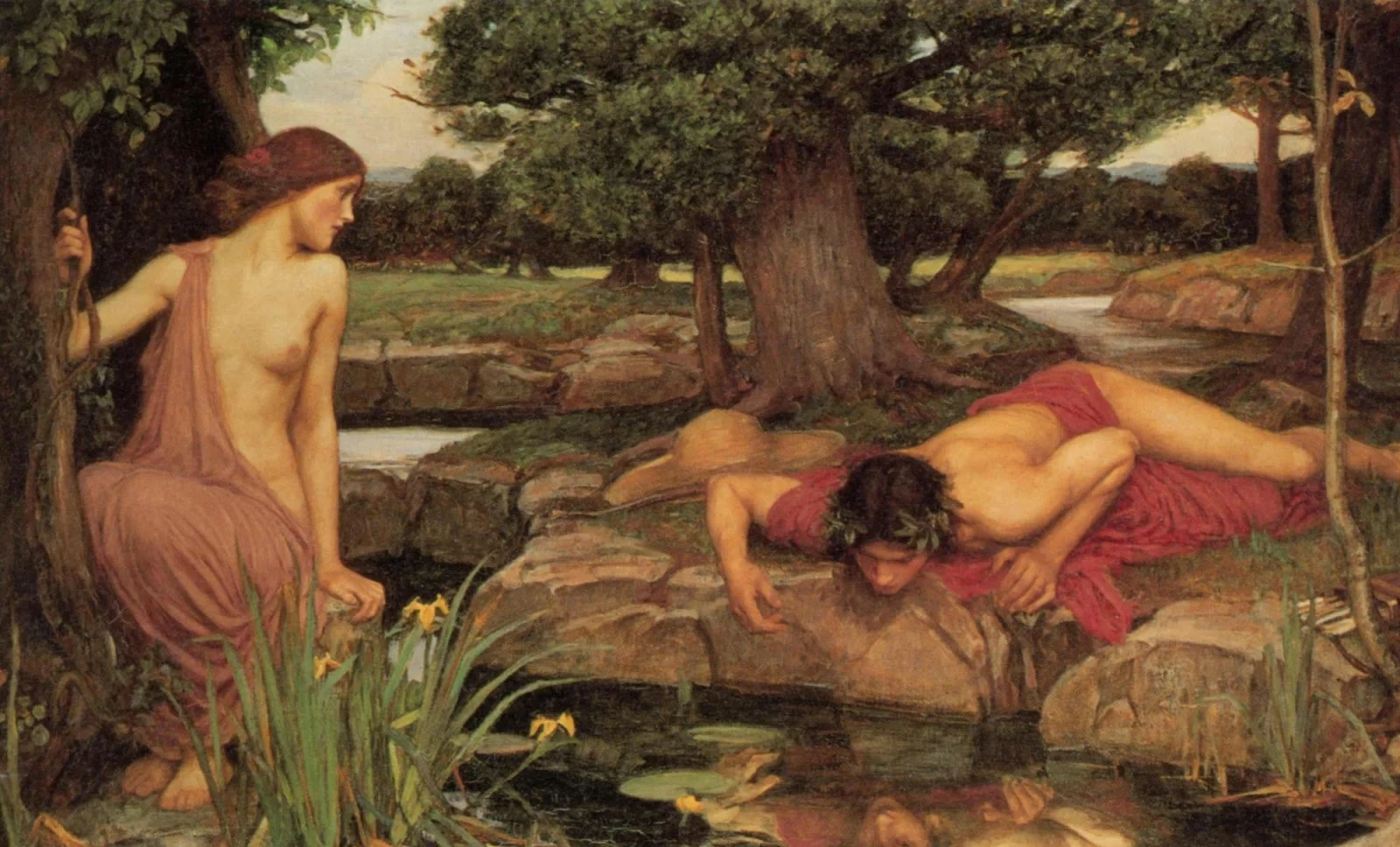 Картина «Эхо и Нарцисс», Джон Уильям Уотерхаус | wikioo.org