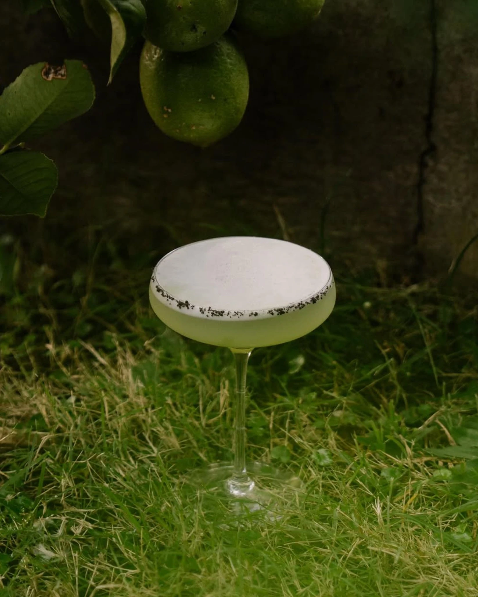 Самый большой гид по Бали: рестораны, магазины и другие места