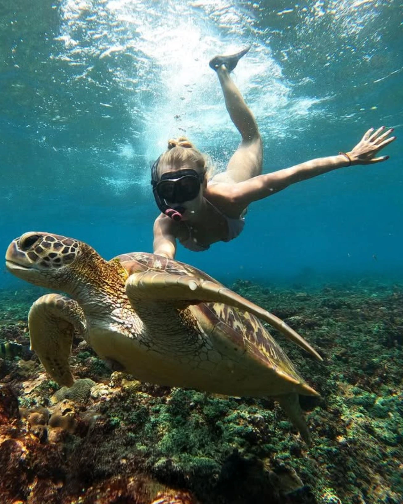 Самый большой гид по Бали: рестораны, магазины и другие места