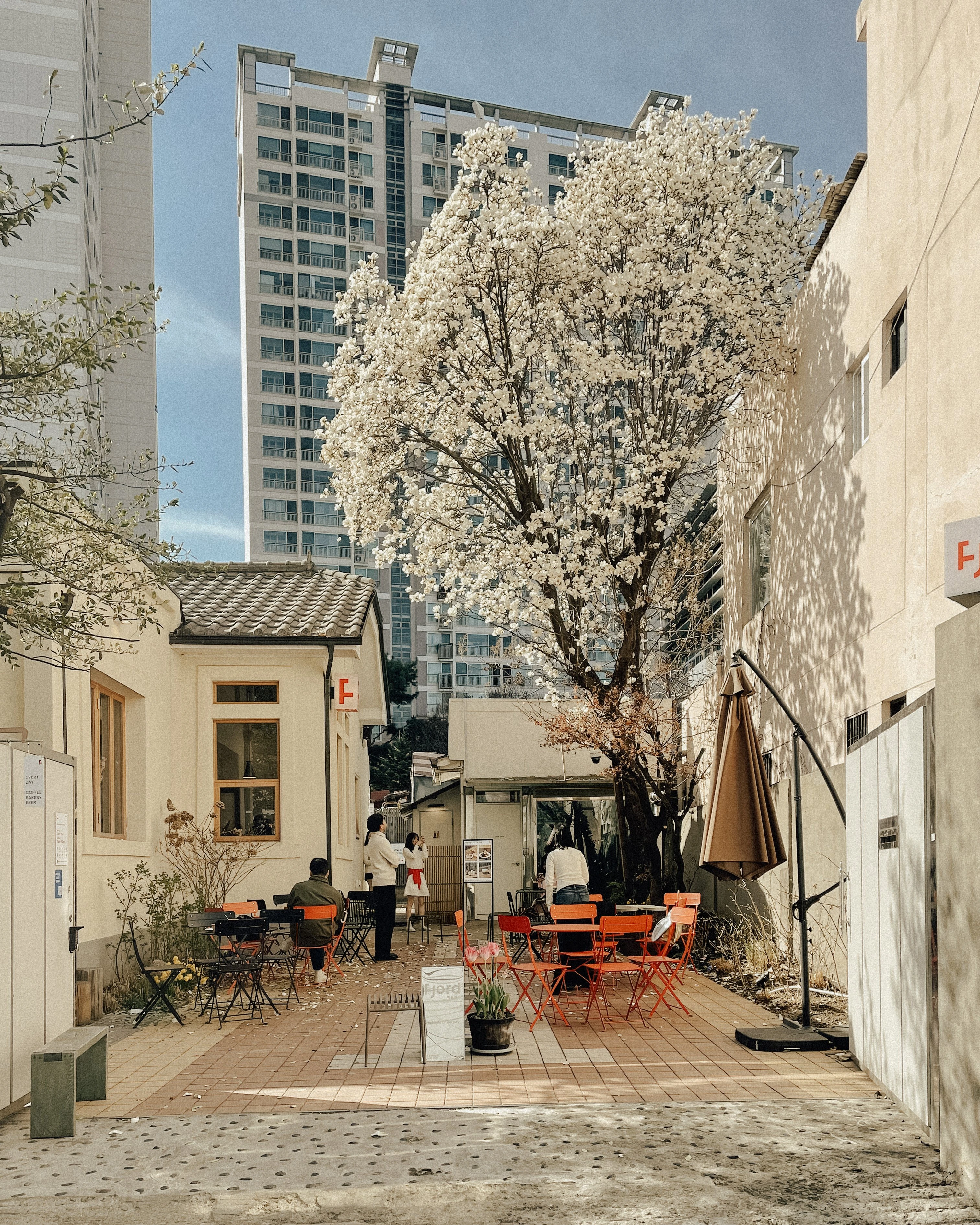 Сеул: новая мировая столица кофе