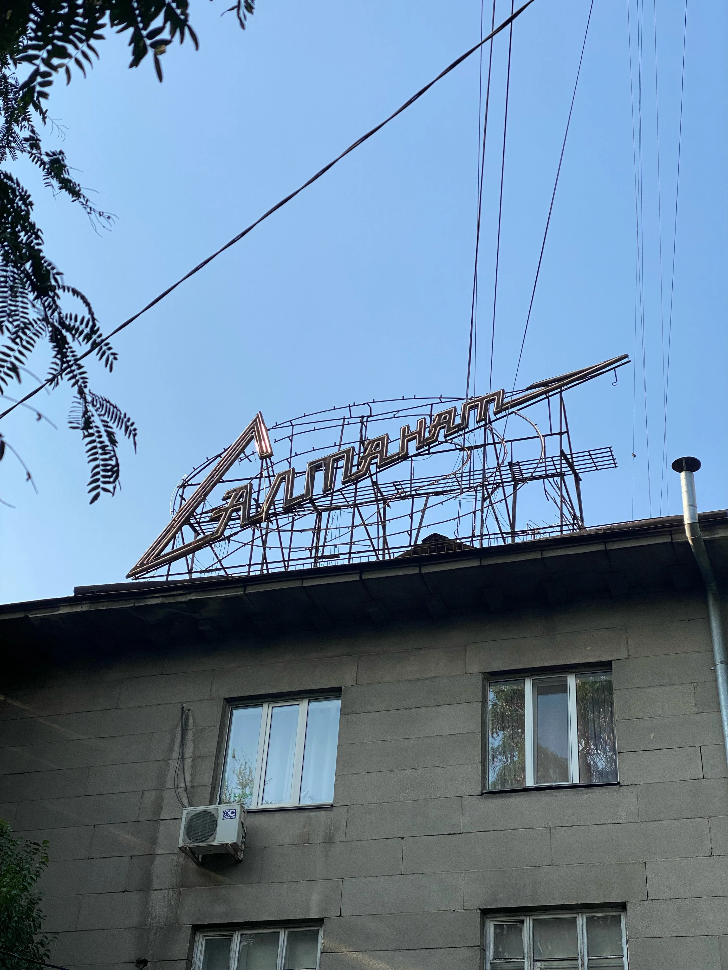 «Свет Салтанат»: проект Citix против бытового насилия