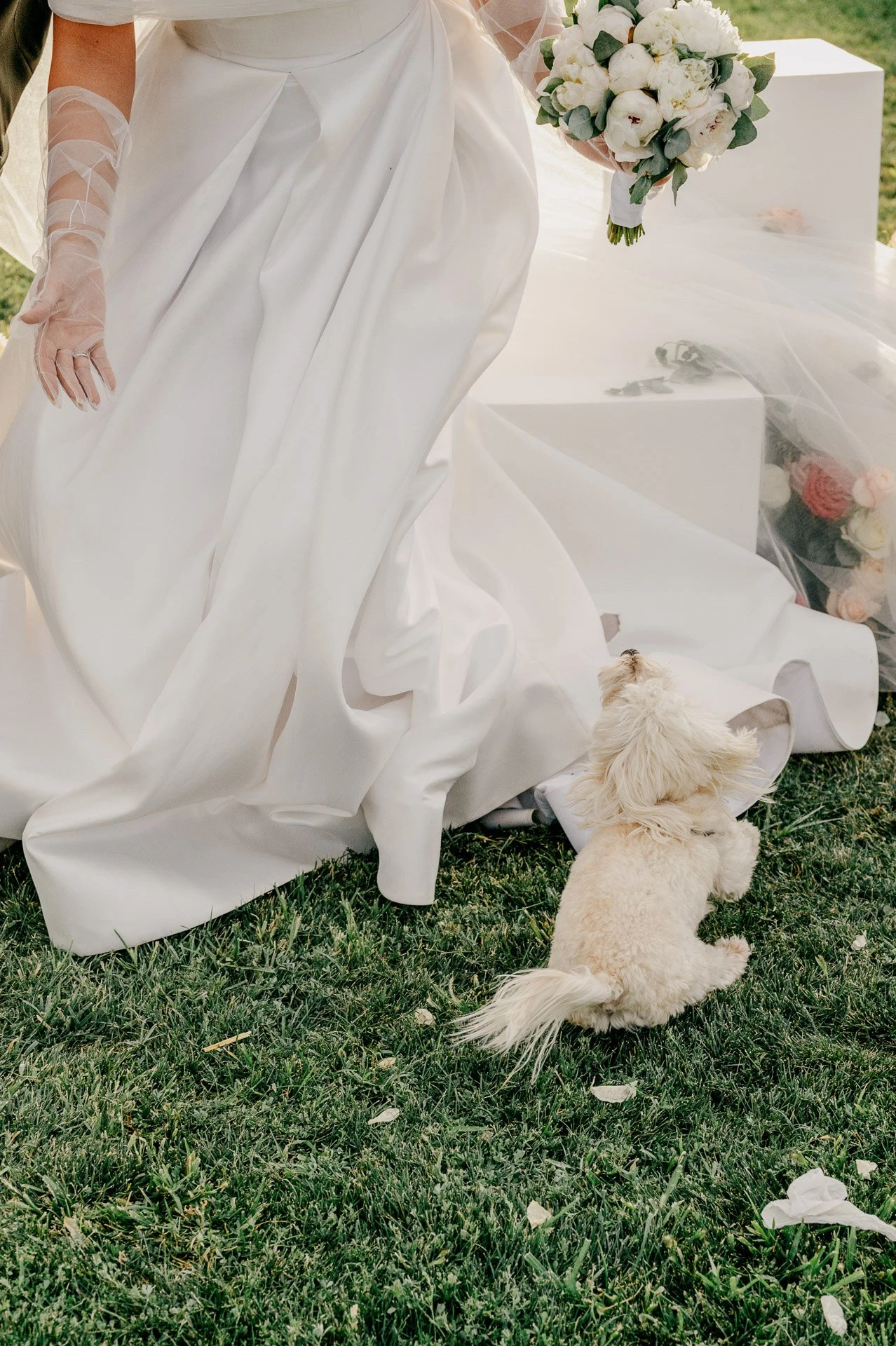 Моя большая казахская свадьба: истории блогеров