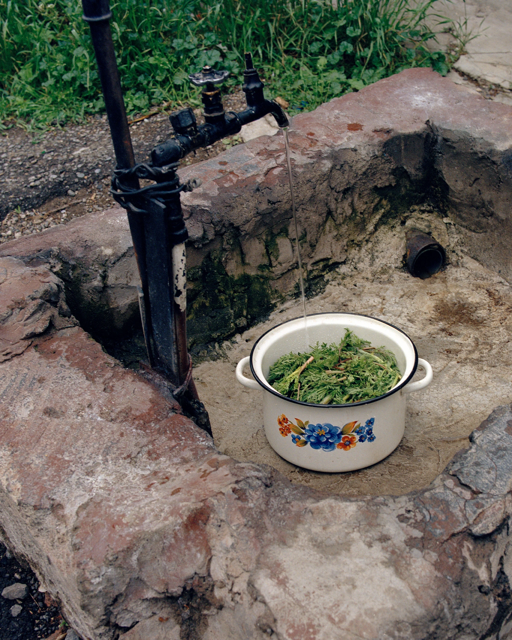 Tatler Editorial: Ереванның шытырман көшелері