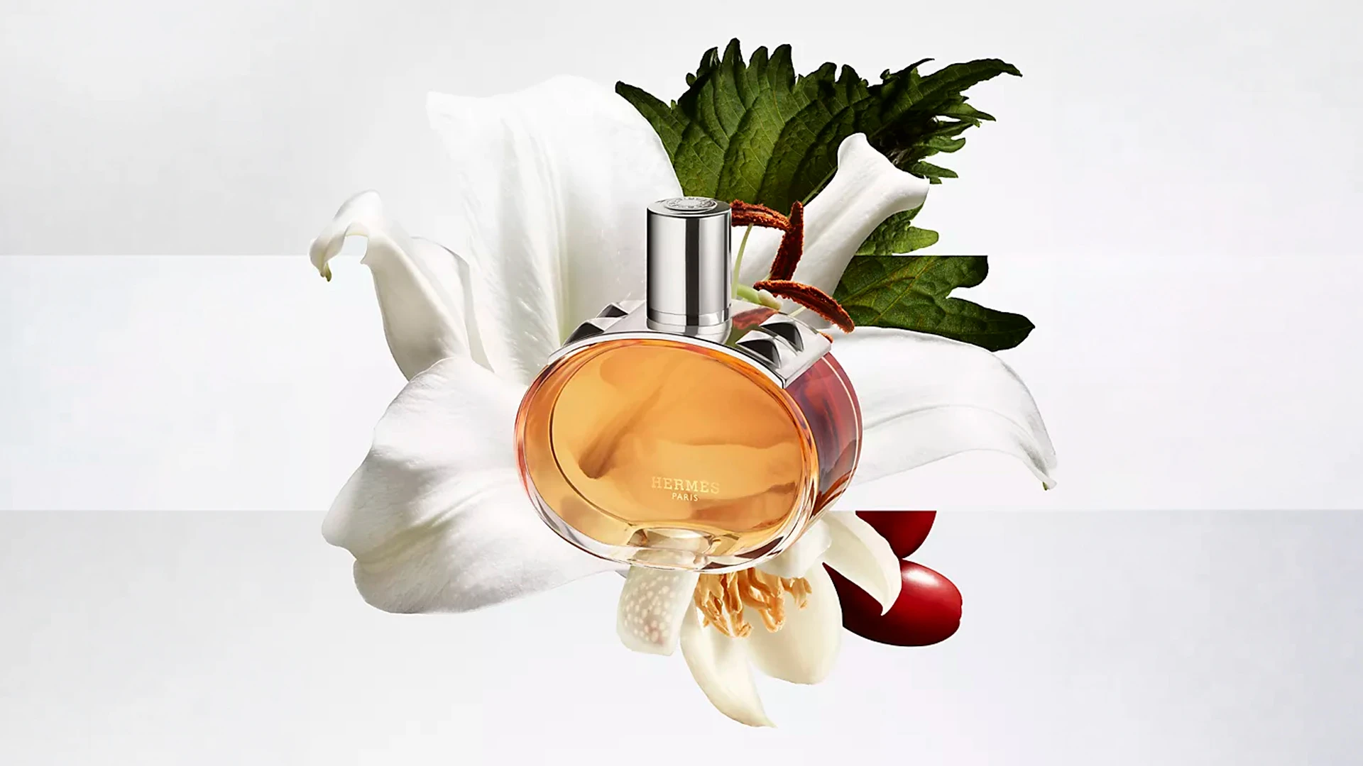 Официальный сайт Hermès