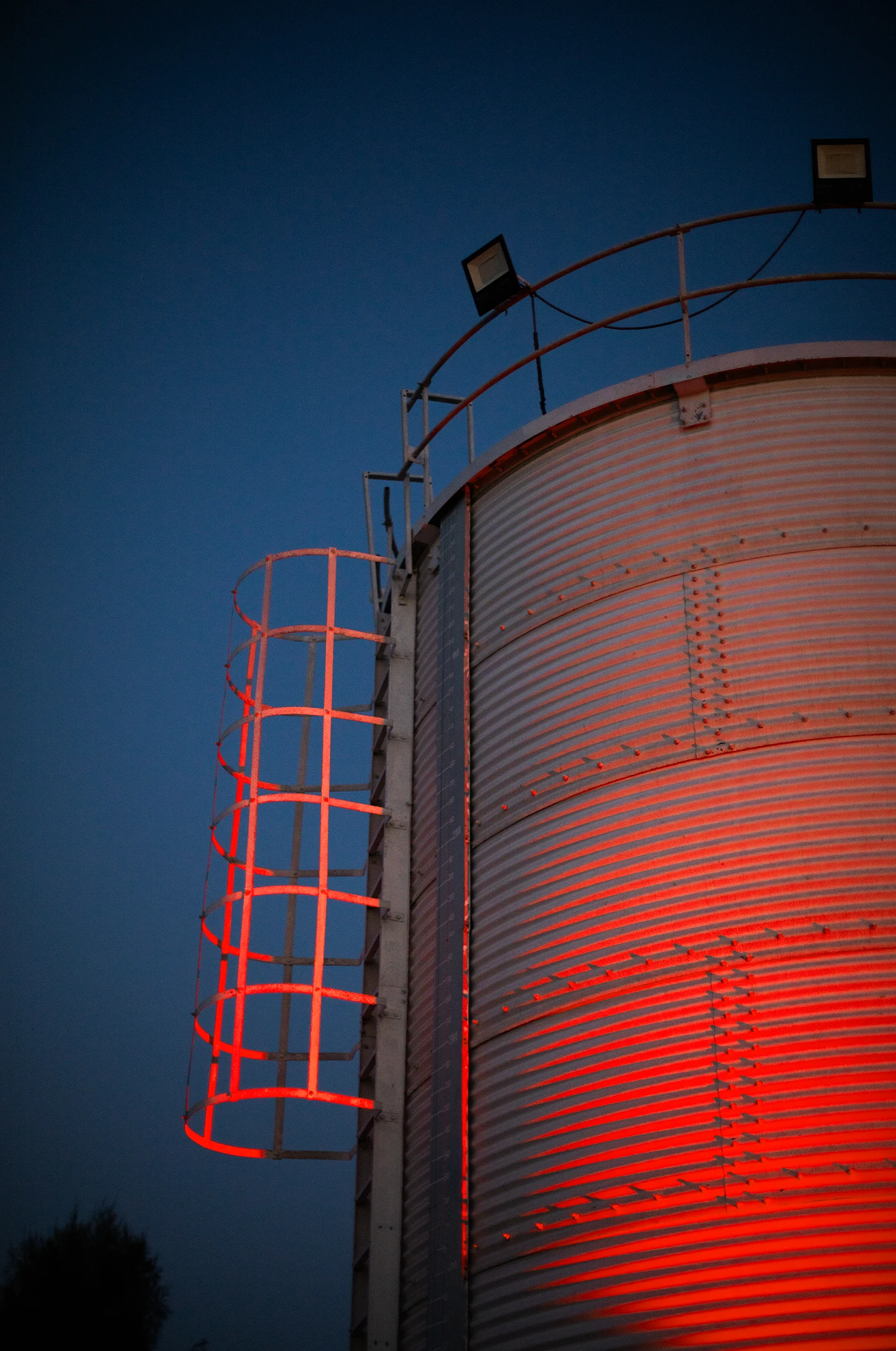 Ночная жизнь Дубая: техно, штрафы и культура