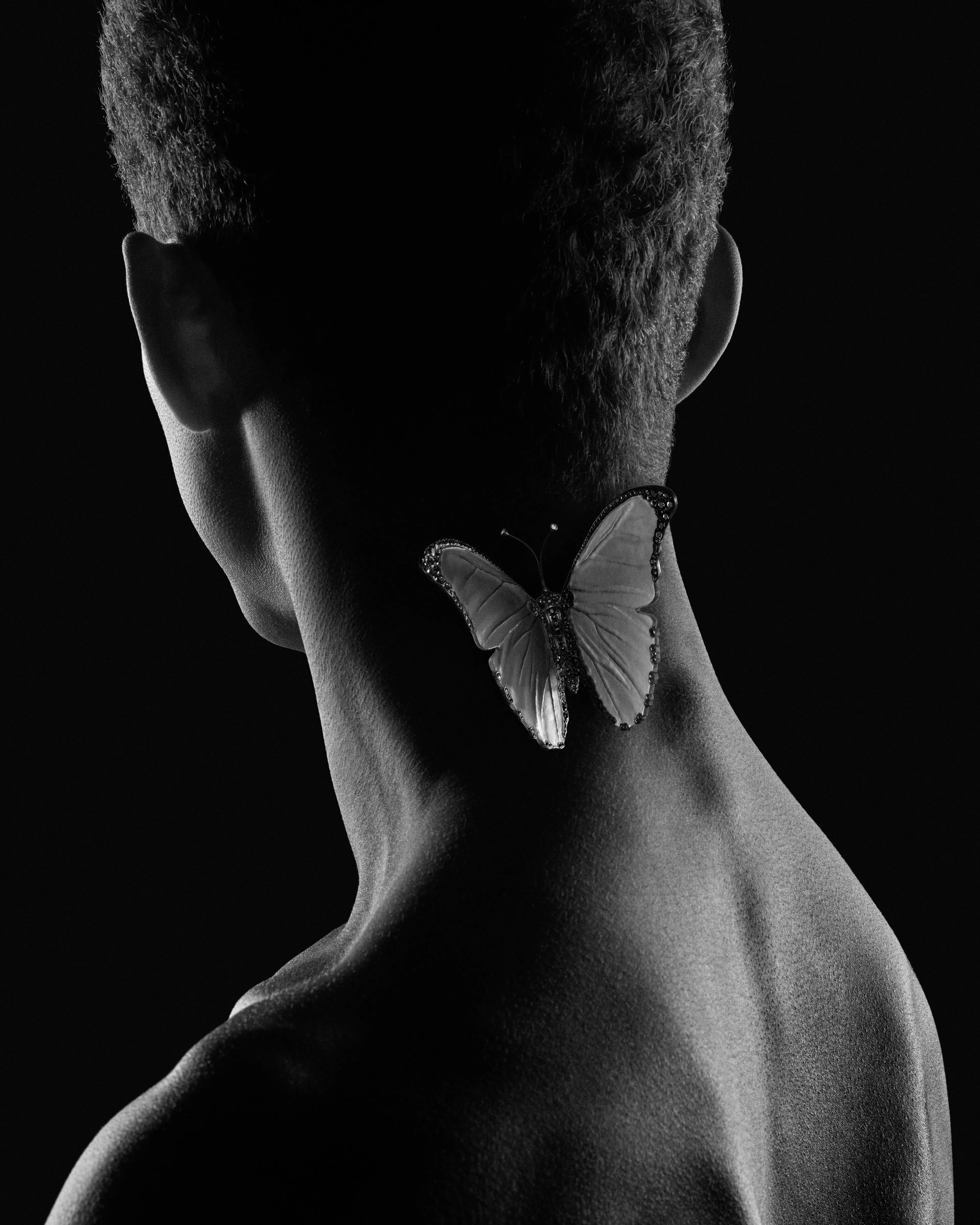 Алтыдан бірге дейін: Boucheron ұсынған жаңа Impermanence топтамасы