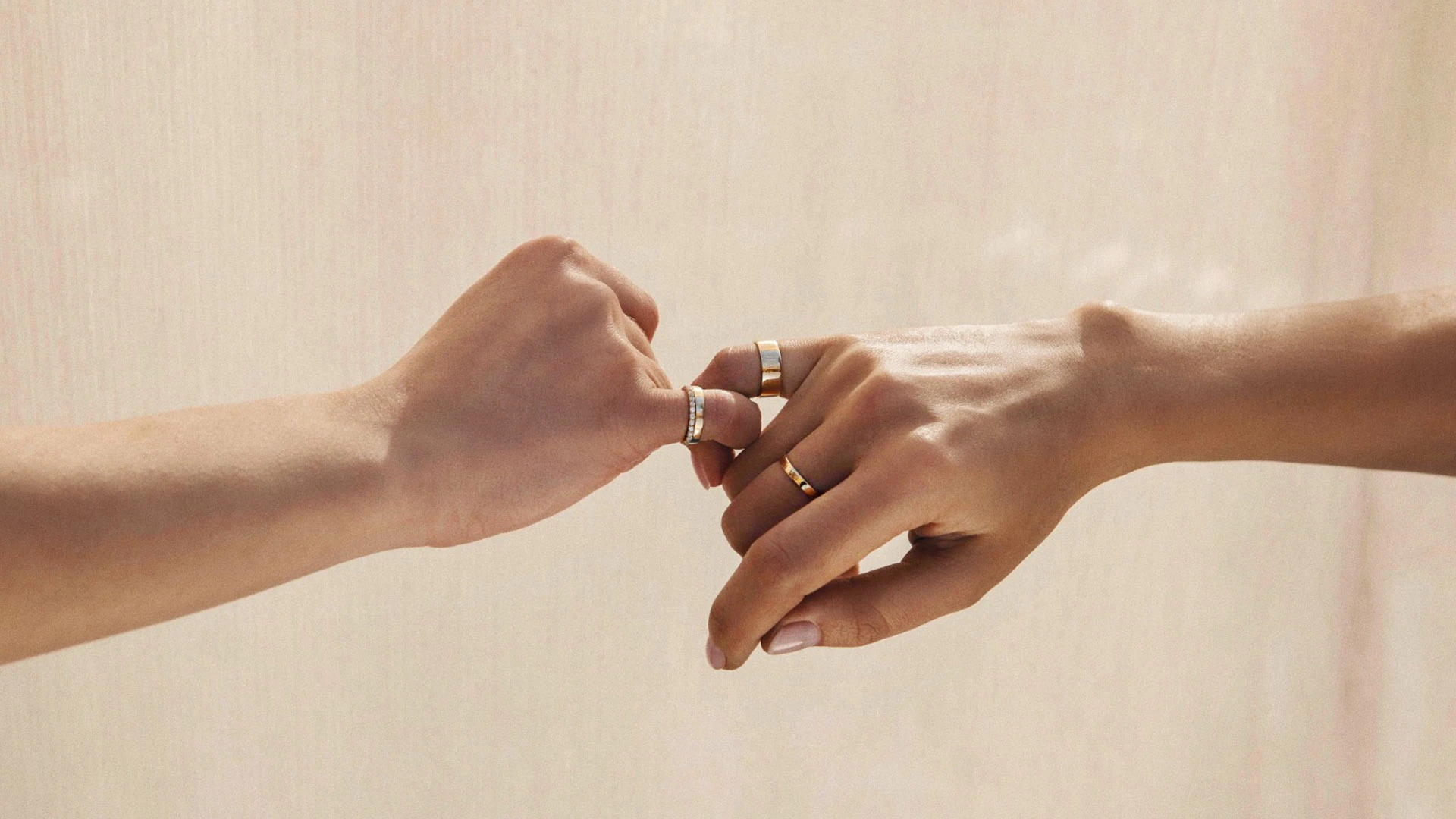 Архив пресс-служб La voie nomade