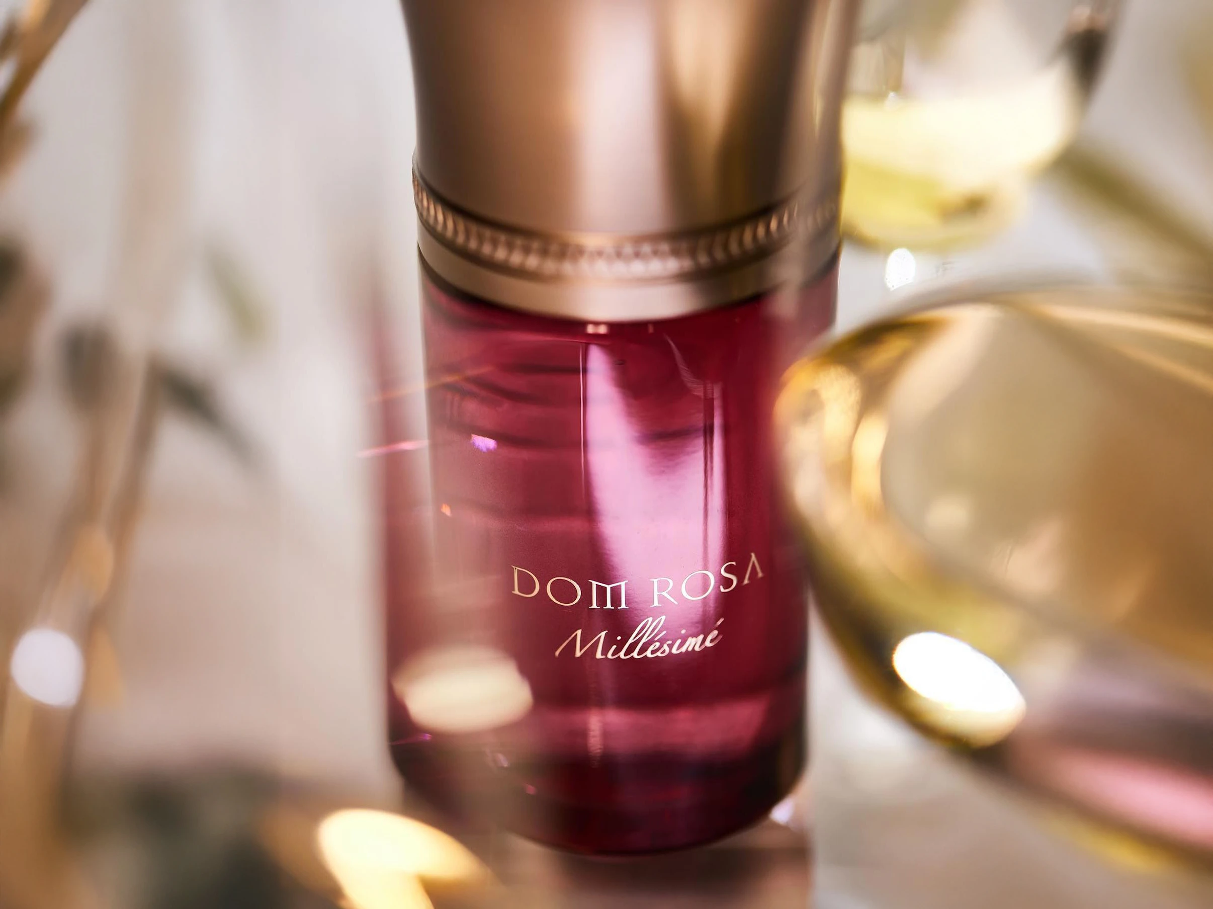 Dom Rosa, Liquides Imaginaires