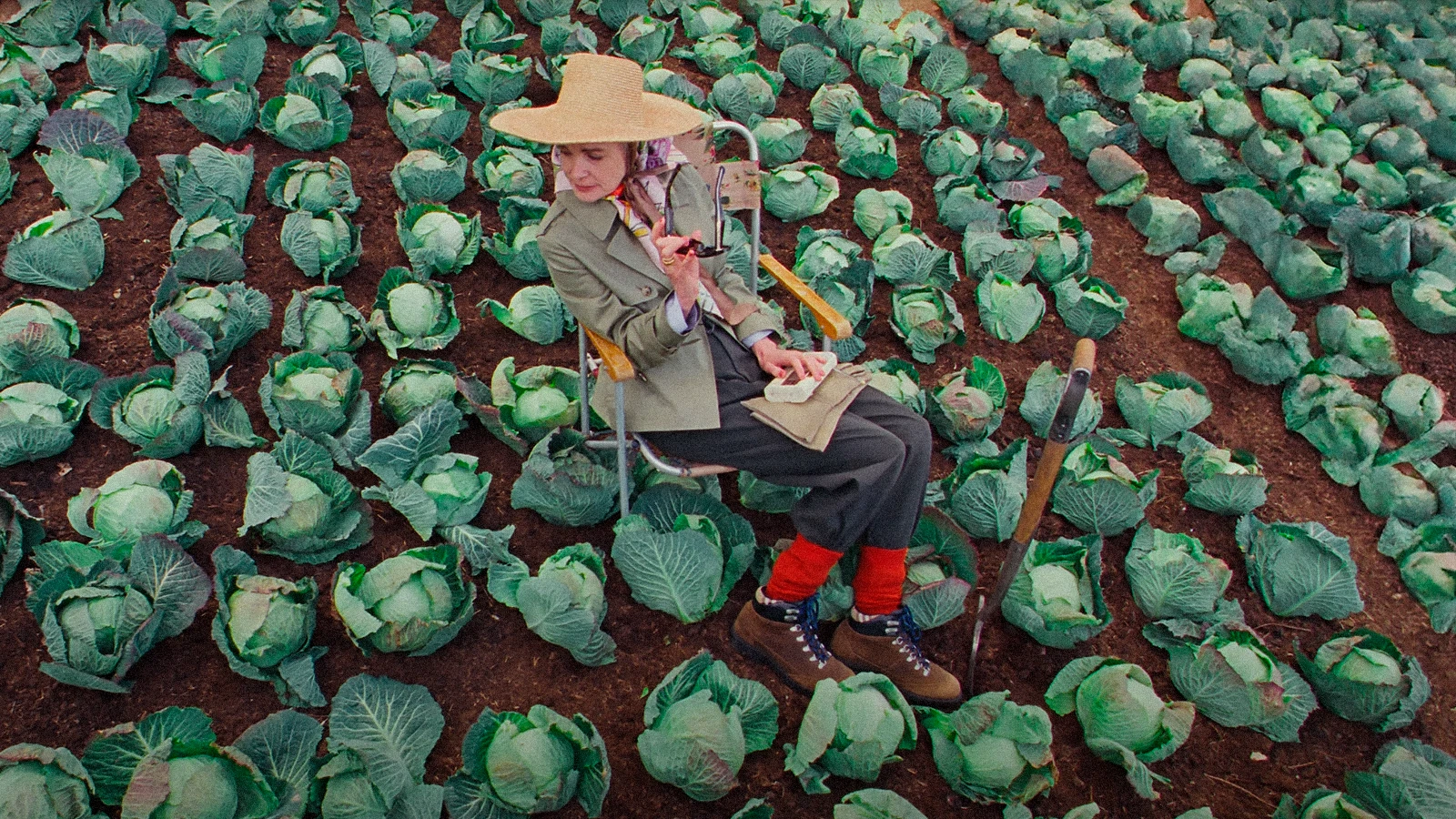 highgrovegardens.com