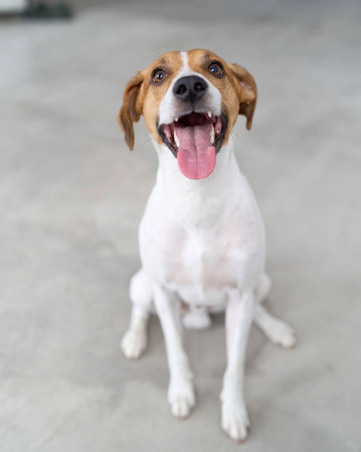 Личный архив Темирлана Тоспаева