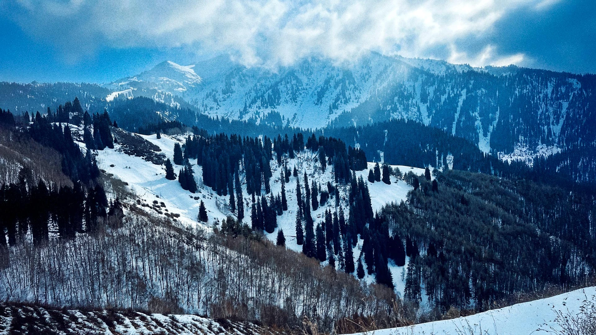 Фотограф: Томирис Давлетова / Tatler