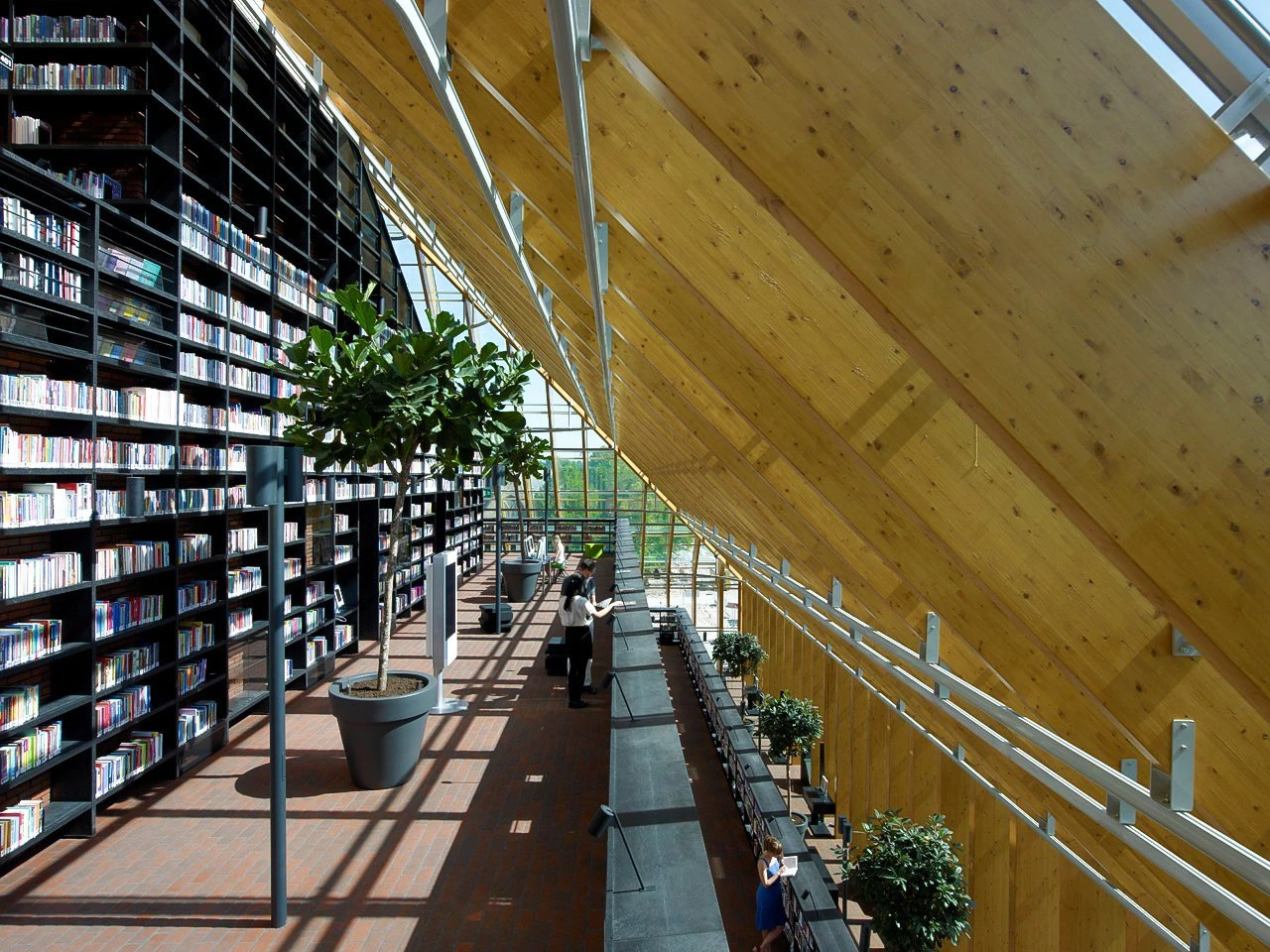 Әлемнің футуристік стильдегі кітапханаларына саяхат